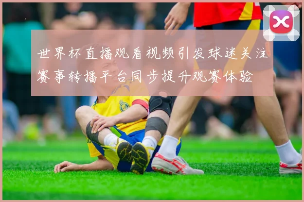 世界杯直播观看视频引发球迷关注赛事转播平台同步提升观赛体验