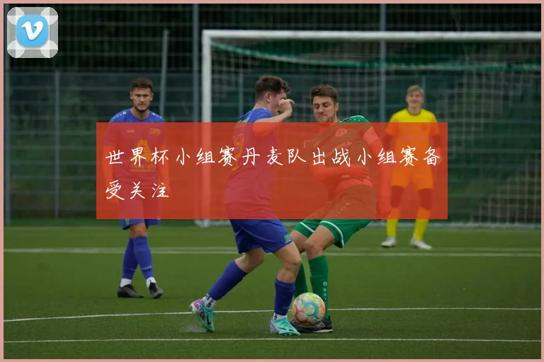 世界杯小组赛丹麦队出战小组赛备受关注
