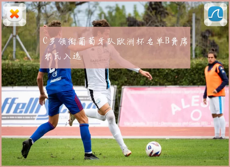 C罗领衔葡萄牙队欧洲杯名单B费席尔瓦入选