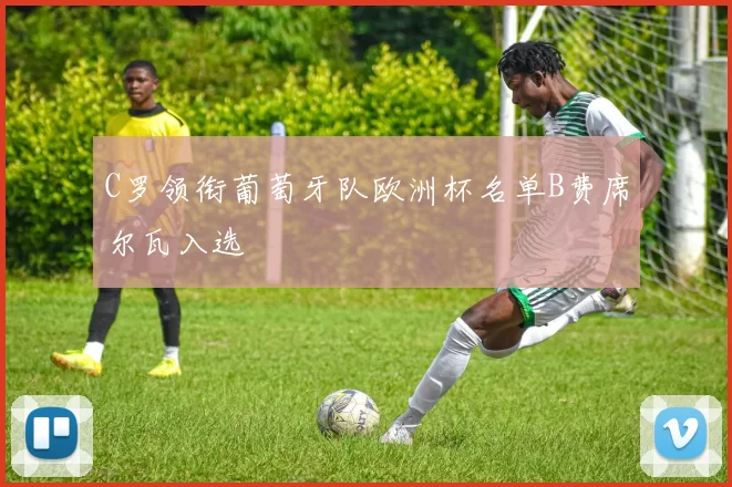 C罗领衔葡萄牙队欧洲杯名单B费席尔瓦入选